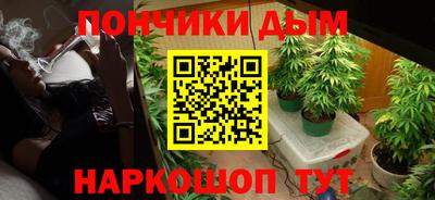 прущие грибы Северобайкальск