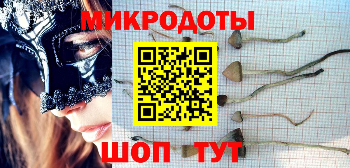 Псилоцибиновые грибы прущие грибы Новозыбков