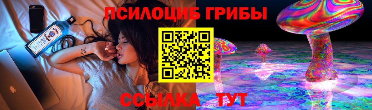 Новозыбков  Галлюциногенные грибы Magic Shrooms  Вход с VPN 